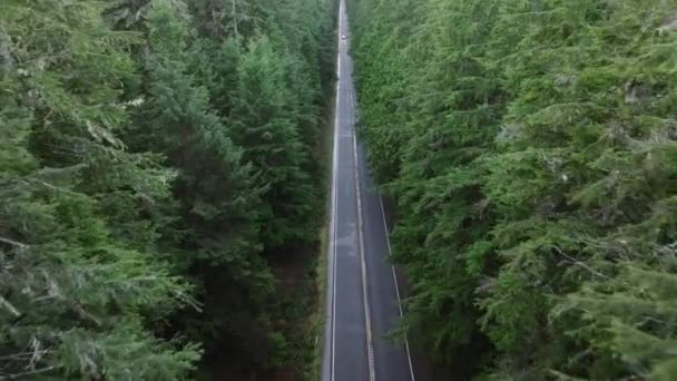 华盛顿之行奥运国家公园美丽的风景秀丽的公路 汽车沿着柏油路行驶在茂密的松树林中 空中拍摄的无人驾驶飞机在高大的云杉树之间向高速汽车飞去 — 图库视频影像