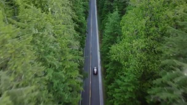 汽车沿着柏油路行驶在茂密的松树林中 空中摄像无人机跟踪着高速汽车在高大的云杉树之间飞行 华盛顿之行奥运国家公园美丽的风景秀丽的公路 — 图库视频影像