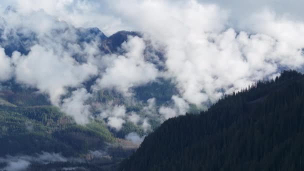 在覆盖山顶的云彩中飞行的无人机 天堂的山脉在天空的云雾中 华盛顿自然公园的常绿森林 高峰秀丽的自然景观4K美国航空 — 图库视频影像