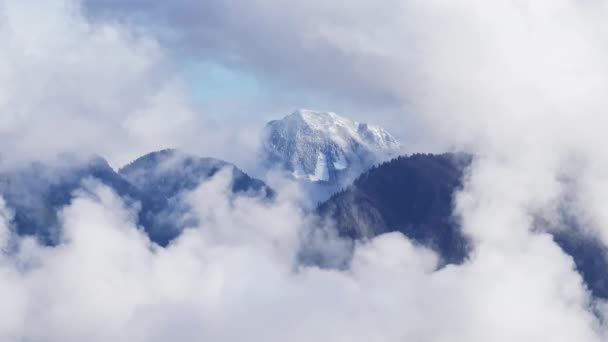 Park Narodowy Waszyngton Chmurami Morza Jasnym Słońcem Północne Kaskady Górski — Wideo stockowe