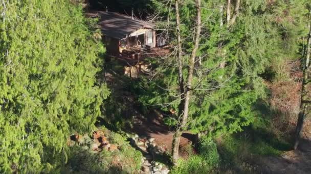 Mały Rustykalny Wiejski Dom Kryje Się Pomiędzy Wiecznie Zielonymi Drzewami — Wideo stockowe