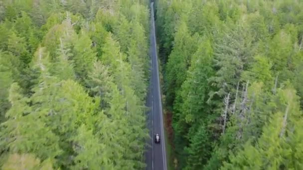 Carro Aéreo Que Conduz Através Estrada Bonita Bosques Cênicos Viajantes — Vídeo de Stock
