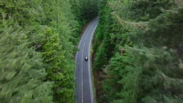Resenärer Som Utforskar Washington National Parks Moderna Suv Fordon Som — Stockvideo