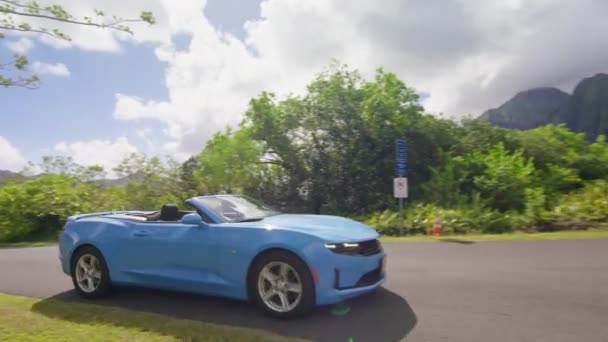 장엄한 전망을 즐기는 드라이버 여자는 휴가에 오아후 컨버터블 자동차 하와이에서 — 비디오