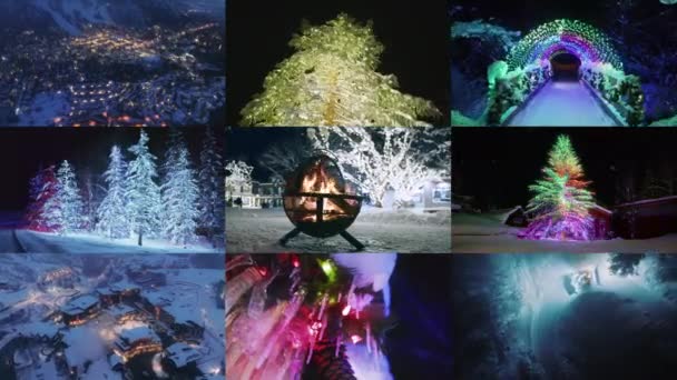 Magische Weihnachtsbaumbeleuchtung Der Nacht Feiern 2025 Neujahrsferien Winterwunderland Aspen Antenne — Stockvideo
