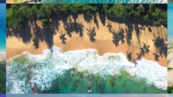Oddálit Koláž Letního Prázdninového Výletu Havajských Ostrovech Usa Diamantová Hlava — Stock video