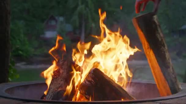 背景に緑のスプルースの森で熱い炎を燃やす明るい赤い火花のゆっくりとした動きを閉じます ファイヤーピットに木製のログを置く女性手 アウトドアキャンプ 自然冒険 週末休暇 — ストック動画
