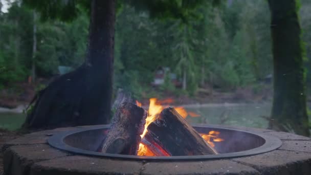 火のピットに木製のログを置く女性の手のクローズアップショット 週末の休暇中に野外キャンプの冒険 緑のスプルースの森で明るい燃える炎を楽しんでいる女性 ネイチャーキャンプ — ストック動画