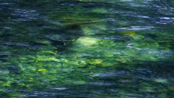 Rauhanomainen Ekologian Laukaus Läpinäkyvää Jokivettä Virtaa Aurinkoisena Päivänä Kristallinkirkas Metsä — kuvapankkivideo