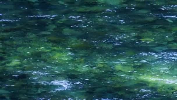 在水晶般清澈的森林小河中 河床上的石子可以看到 明媚的太阳光闪烁着碧绿的流水 阳光明媚的日子里 清澈的河水流淌着和平的生态图景 — 图库视频影像