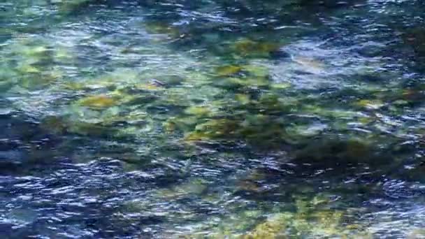 Czysta Woda Lodowca Górskiego Wiosenne Tło Czystym Strumieniem Biegnącym Przez — Wideo stockowe