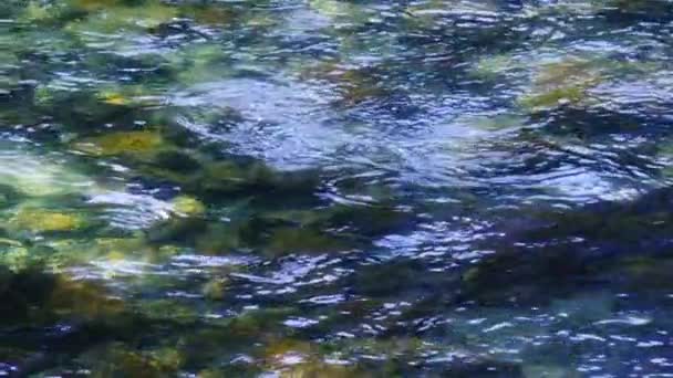 Wild Mountain River Vesi Aurinkoisena Kesäpäivänä Puhdasta Vettä Vuoristojäätiköltä Kevät — kuvapankkivideo