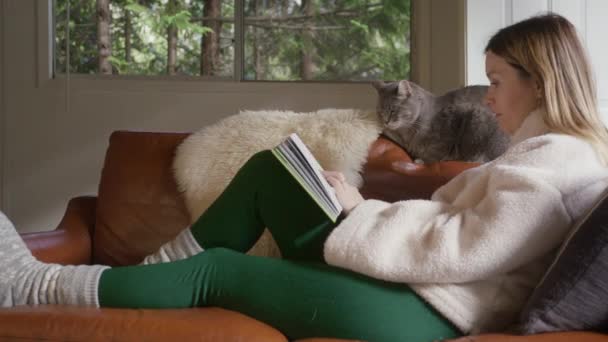 金发女人在舒适的森林小木屋里大声给她的宠物读有趣的书 人们在周末去遥远的目的地度假 与灰猫坐在舒适的皮革马车上的女人慢动作 — 图库视频影像