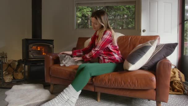 女人们带着可爱的绒毛宠物在篝火炉边享受周末 在舒适的森林小木屋里 穿着红色格子花衬衫 笑容满面的女人爱抚着可爱的灰色家猫 — 图库视频影像