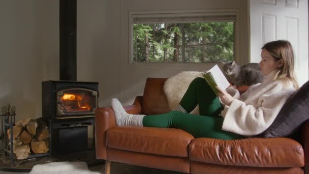 Mulher Relaxada Sentada Com Gato Cinza Confortável Treinador Couro Leitura — Vídeo de Stock