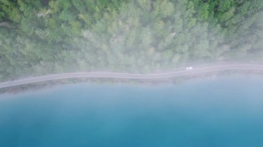 Olimpik Ulusal Orman 'da nefes kesici bir yağmur ormanı. Evergreen Ormanı 'ndaki mavi dağ gölü boyunca Washington 4K hava sahasında. Kopya alanı ile sinematik doğa arkaplanı
