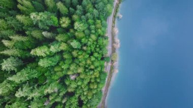 Olimpiyat Ulusal Parkı 'nda nefes kesici bir yağmur ormanı. Fotokopi alanı olan sinematik doğa arka planı. Sahne Washington 4K. Yolun yukarısındaki tepeden aşağıya, mavi dağ gölü boyunca Evergreen ormanında.