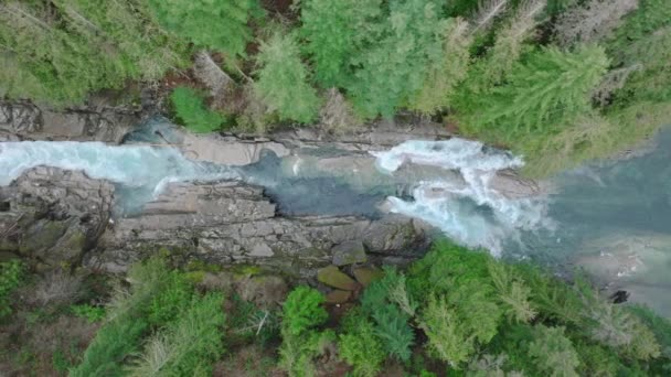 Flytende Smal Rask Sprutende Elvestrøm Usa Filmatiske Naturen Washington Fjellpark – stockvideo