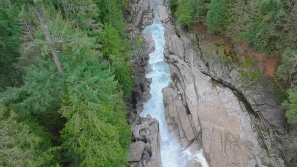 Zpomalení Filmové Povahy Washington Mountain Park Kopírovat Pozadí Silný Vodopád — Stock video