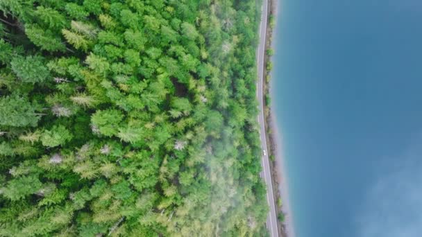 从空中俯瞰着蓝山湖畔的常绿森林 带有复制空间的电影自然背景 在奥林匹克国家森林里呼吸美丽的热带雨林 场景华盛顿4K — 图库视频影像