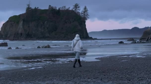 Nainen Harkitsee Elokuvallista Ruby Beachia Dramaattinen Luonne Antenni Nainen Turisti — kuvapankkivideo