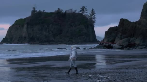 Dramatik Doğa Hava Kasvetli Gri Günde Washington Sahilini Keşfeden Kadın — Stok video