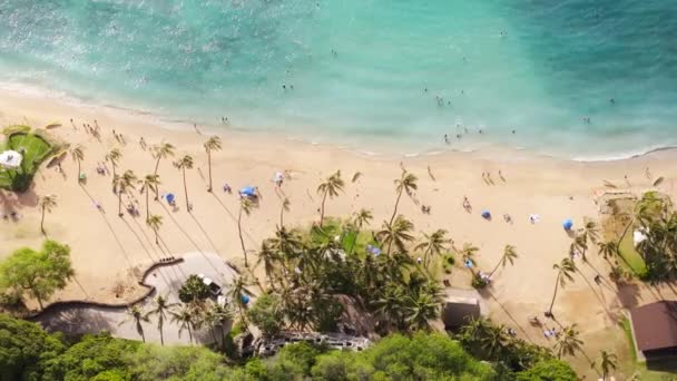 トロピカルハワイでの夏休みのスペース壁紙をコピーします 人々は黄金の太陽4Kで青い水と日光浴で泳いでいます 美しいワイキキビーチの上下ビュー パラダイス島の自然の背景 — ストック動画