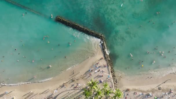 上のビューパラダイス島の自然の背景 トロピカルハワイでの夏休みのスペース壁紙をコピーします 美しいワイキキビーチで黄金の太陽4Kで青い水と日光浴で泳ぐ人々 — ストック動画