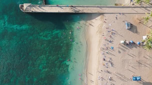 美しいワイキキビーチの上下ビュー パラダイス島の自然の背景 トロピカルハワイでの夏休みのスペース壁紙をコピーします 黄金の太陽4Kで青い水と日光浴をする人々 — ストック動画