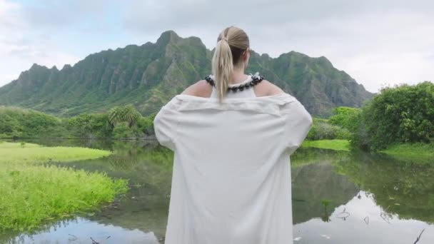 享受电影 侏罗纪山脉 的旅行者的倒行逆施照片 华湖4K岛上史诗般的自然景观中的观光客回顾 在夏威夷岛上欣赏戏剧性自然的优雅女子的背影 — 图库视频影像
