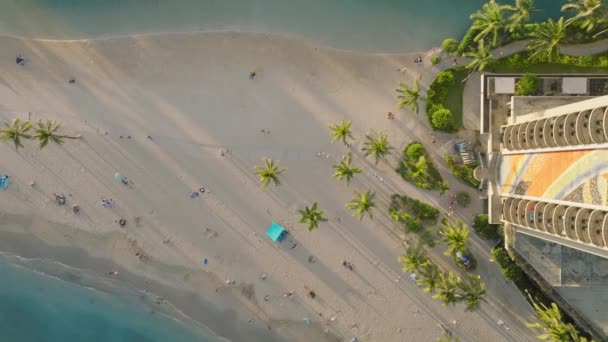 日落时绿油油的棕榈树 夏威夷旅游目的地美国 从空中俯瞰风景秀丽的怀基基度假胜地 沐浴着美丽的金色阳光 在海滩酒店上方俯瞰美丽的蓝色泻湖 — 图库视频影像
