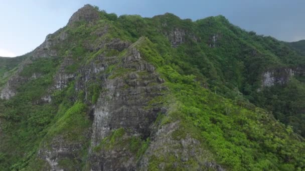 探索主动旅游的野外自然概念 在Kahekili山脊上俯伏狮子远足的场景 在夏威夷瓦胡岛的绿树成荫的户外探险 阴天危险的陡崖 — 图库视频影像