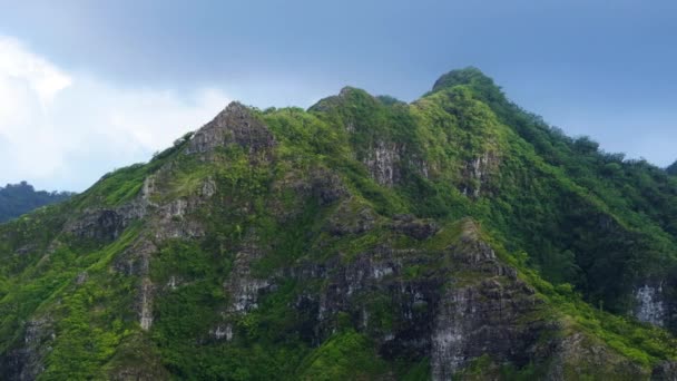 Aventura Aire Libre Las Selvas Verdes Oahu Isla Hawaii Peligroso — Vídeo de stock