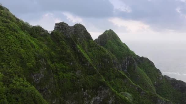 Green Jungle Mountains Jurassic Period Scene Dramatic Nature Landscape Gloomy — Stock Video