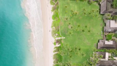 Yaz tatili kopyası. Kumsaldaki açık mavi dalgaların üzerinde. Turkuaz okyanus yüzeyini temizleyin. İnsansız hava aracı yeşil okyanus kıyısından düştü. Oahu Hawaii Adası 4K 'daki Kailua kasaba sörfçüsü.