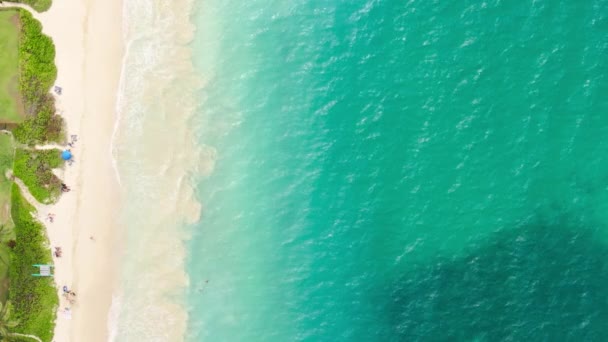 海岸に走る風光明媚な強力な波の上のオーバーヘッド空中 白い泡立った波を持つ深いターコイズの海 海岸で発泡した茶色の海の波のドローンシュート サーファースポット ハワイ — ストック動画