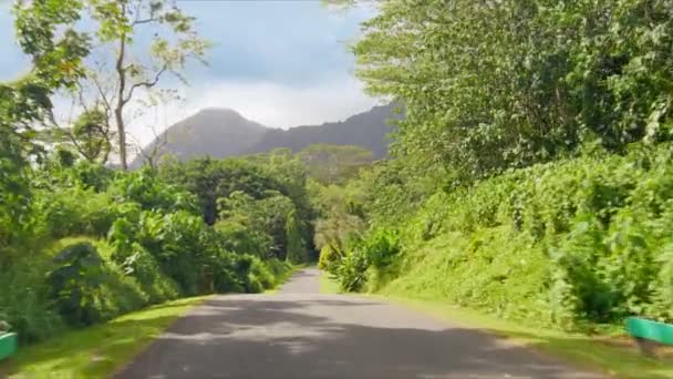 Jízda Prázdnou Cestou Bujné Botanické Zahradě Slunečný Letní Den Tropickém — Stock video