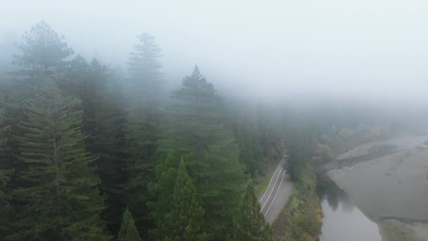 美国加利福尼亚 晨雾中的红杉国家公园和州立公园鸟瞰 野外森林中沿河延伸的公路场景 多雾的森林景观 云彩环绕树梢 — 图库视频影像