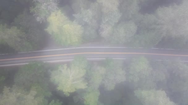 野生の森 カリフォルニア州 アメリカ合衆国レッドウッド国立公園の道路のトップビュー 森林の木から見下ろすアスファルトハイウェイのドローンショットは霧の雲を覆いました 間違って空の道 4K映像 — ストック動画