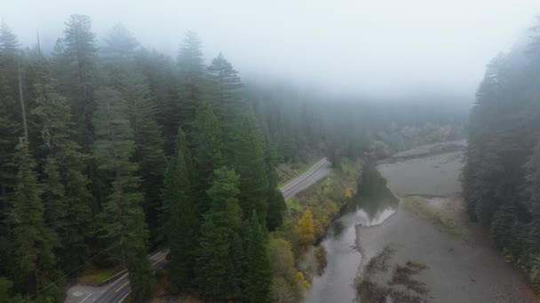 在美国加州红杉国家公园和州立公园 空中看到的汽车在路上行驶 雾蒙蒙的早晨 森林中的河流拍下了一片荒凉的风景 云雾中落水的树木 4K段画面 — 图库视频影像