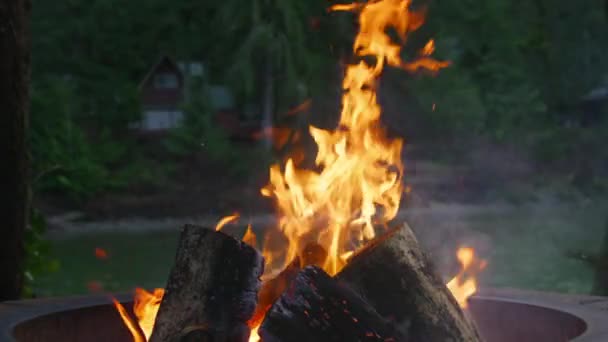 火のピットで薪を燃やして 背景に美しい緑の森で屋外の夜キャンプで居心地の良いキャンプファイヤー 明るいオレンジ色の熱い炎を閉じる フライングスパークスローモーションでボンファイアログ — ストック動画