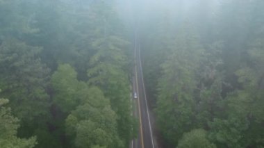 Redwood National ve State Parks, California 'daki sisli yola kuşbakışı bakış açısı. İnsansız hava aracı, otobanda giden arabalarla orman manzarası üzerinde uçuyor. Ağaç tepeleri sabah sisi ile kaplı, 4K görüntü 