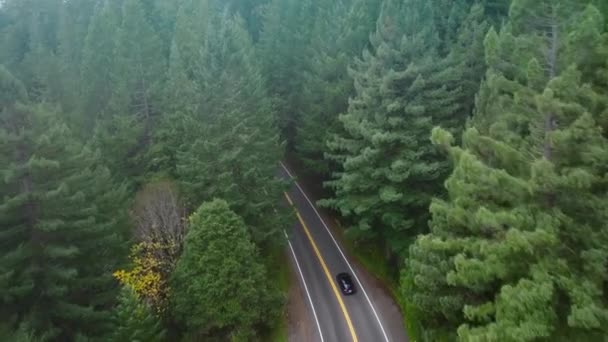 在美国加利福尼亚州红杉国家公园和州立公园 在汽车后面飞行的无人机在路上超速行驶 有松树的风景如画的森林景观 现代汽车在树间行驶 4K镜头 — 图库视频影像