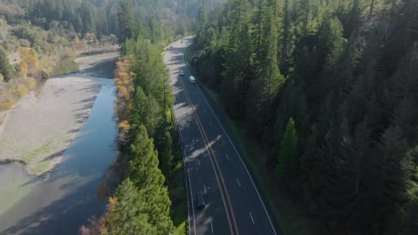 美国加利福尼亚州红杉国家公园和州立公园的自动驾驶汽车沿河行驶的鸟瞰图 在阳光明媚的日子里 汽车在荒野森林中穿行时的头顶镜头 旅行概念 4K段 — 图库视频影像