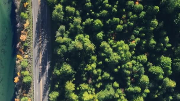 美国加利福尼亚州红杉国家公园和州立公园的沥青路面和驾驶汽车的顶部视图 风景秀丽 河流林立 野林树梢 有复制空间 — 图库视频影像