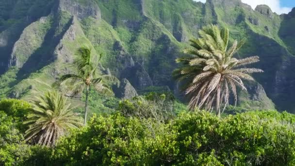 Elokuvalliset Vihreät Vuoret Kohoavat Paratiisin Trooppisella Saarella Eeppinen Luontomaisema Eksoottiselle — kuvapankkivideo