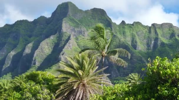Eeppinen Luontomaisema Eksoottiselle Saarimatkailutaustalle Vihreät Kämmenet Tulivuorenpurkauksen Taustalla Havaijin Saarella — kuvapankkivideo
