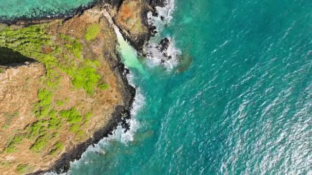 夏威夷岛独特环境的自上而下的天线 著名的具有里程碑意义的岛屿 名为中国帽 夏天阳光灿烂的时候 莫科利火山岛上的天线仍在拍摄 瓦胡岛旅游目的地 — 图库视频影像