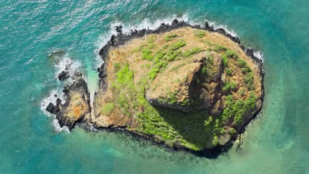欧胡岛旅游目的地美国旅游 著名的具有里程碑意义的岛屿 名为中国帽 在阳光明媚的夏日 莫科利火山岛上的天线被头顶射中 夏威夷岛独特环境的自上而下的天线 — 图库视频影像
