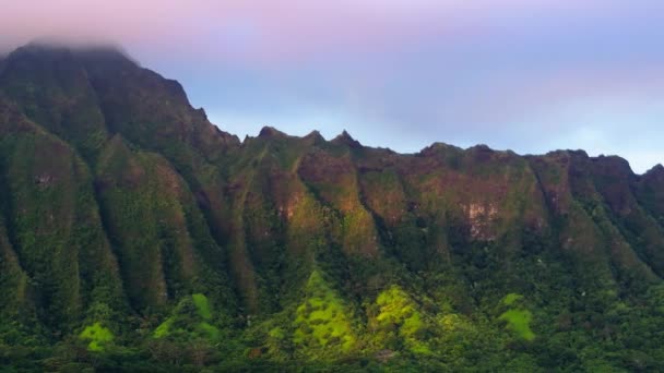 ハワイ島の自然景観 印象的な日の出4Kで急な緑の崖が付いているエピックオアフの自然 日の出にピンクの青い雨雲で覆われた息をのむ火山の山の尾根 — ストック動画
